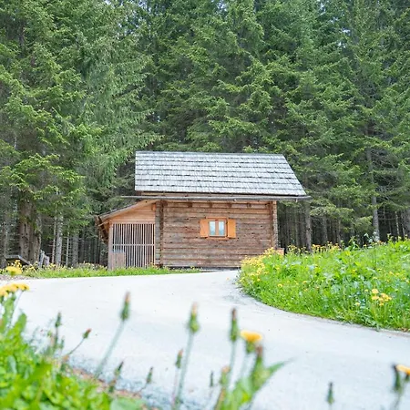 Triglav On Pokljuka