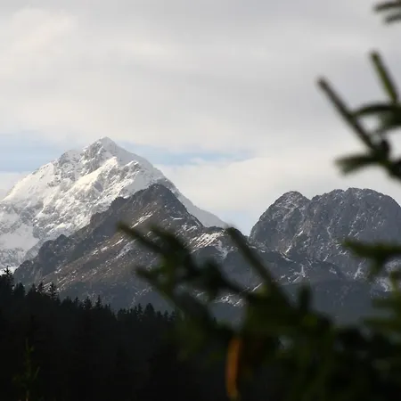 Triglav On Pokljuka