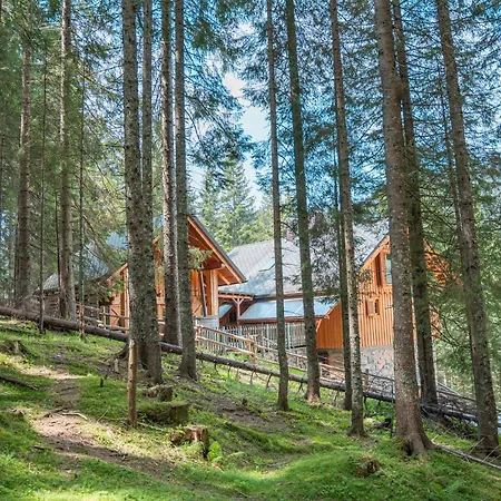 Triglav On Pokljuka * Goreljek