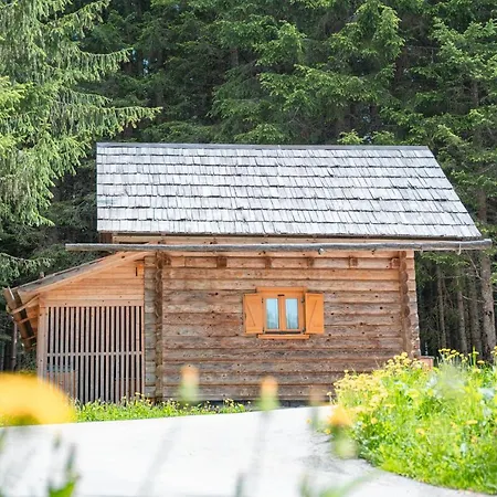 Triglav On Pokljuka