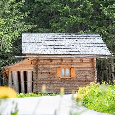 Triglav On Pokljuka Goreljek