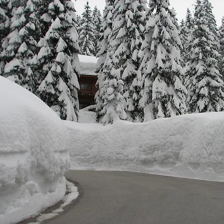 アパート Triglav On Pokljuka *