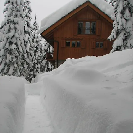 Triglav On Pokljuka Appartement