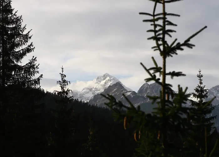 Apartman Triglav On Pokljuka Goreljek