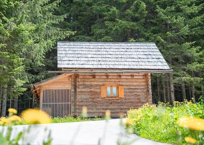Triglav On Pokljuka Goreljek