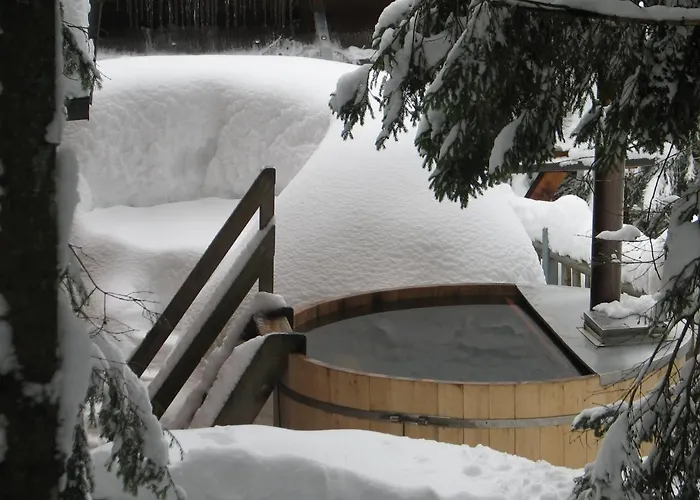 Διαμέρισμα Triglav On Pokljuka *