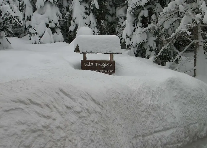 Apartman Triglav On Pokljuka Goreljek